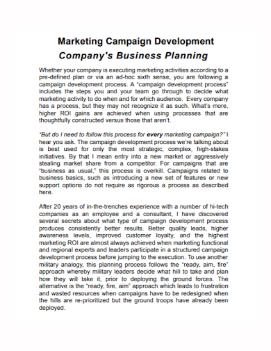 business development marketing campaign plan