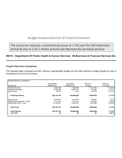business financial budget analysis