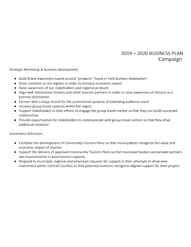 business investment development campaign plan