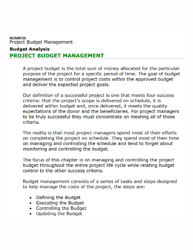 business project budget analysis