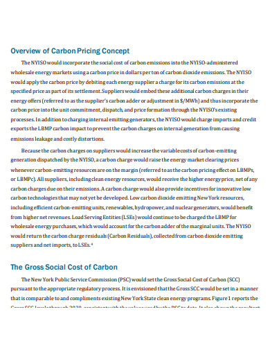 carbon pricing proposal