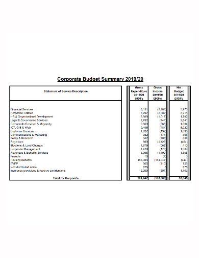 corporate budget summary