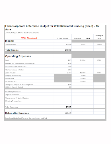 corporate enterprise budget
