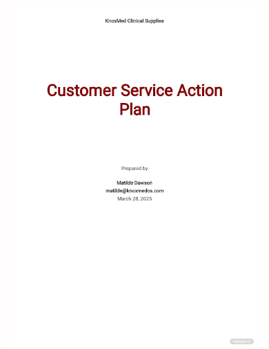 customer service action plan template