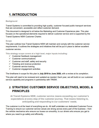 customer service operational plan example