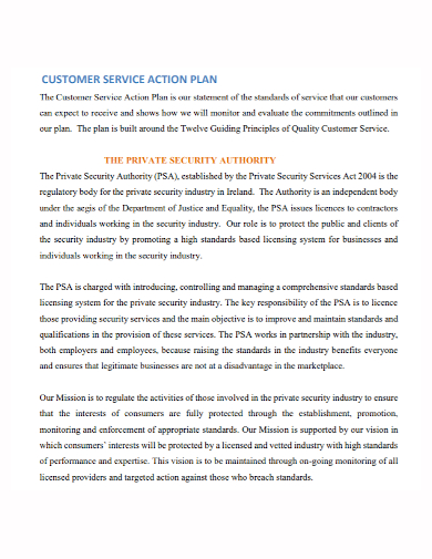 customer service security action plan