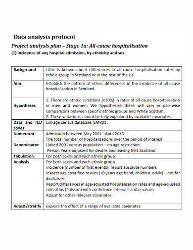 data analysis protocol project plan