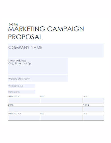 digital marketing company campaign proposal