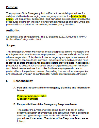 emergency security action plan
