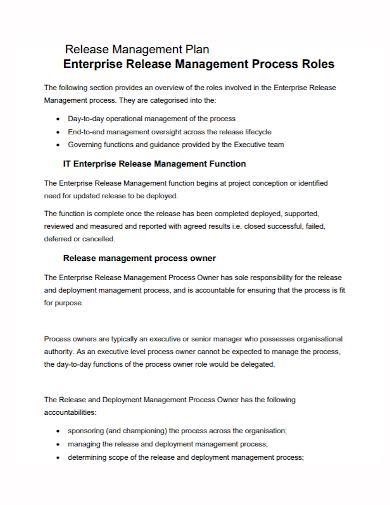 enterprise release management plan