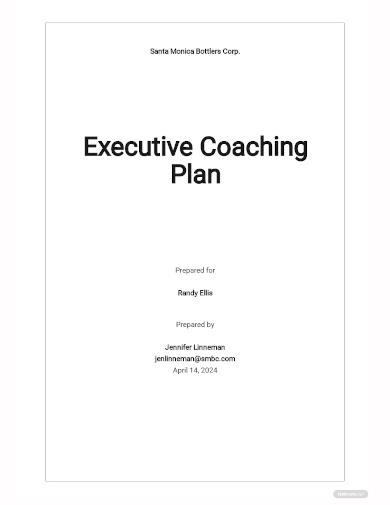 executive coaching plan template