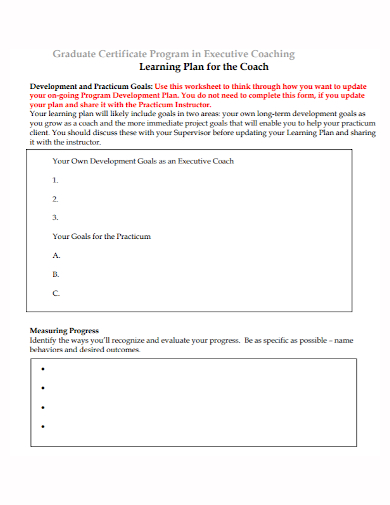 executive program coaching plan