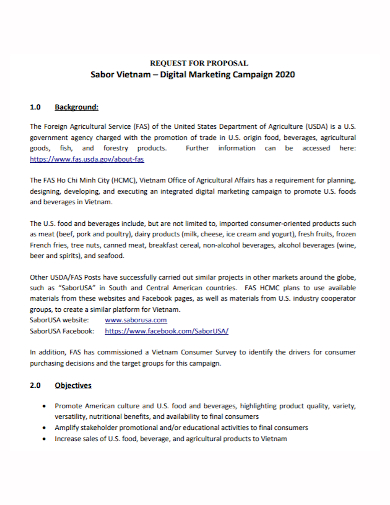 formal digital marketing campaign proposal