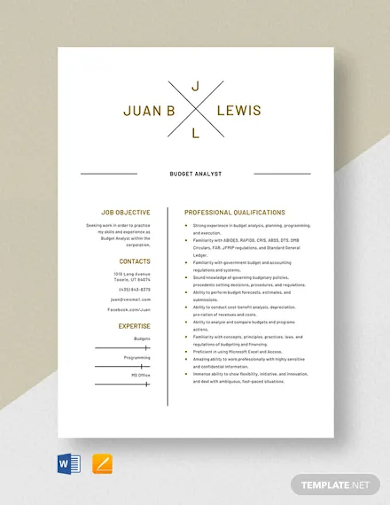 free budget analyst resume template