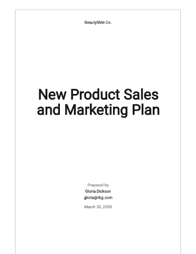 free new product sales and marketing plan template