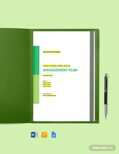 it service asset and configuration management plan