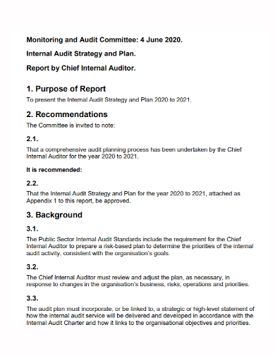 internal audit committee strategic plan