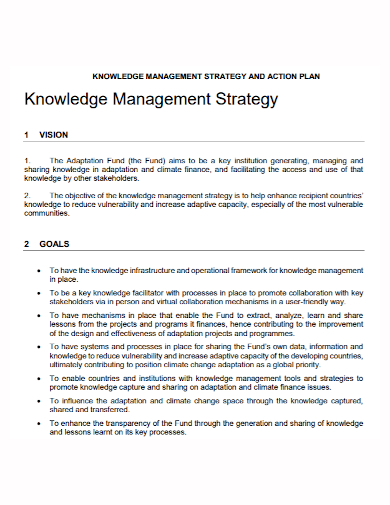 management strategy action plan