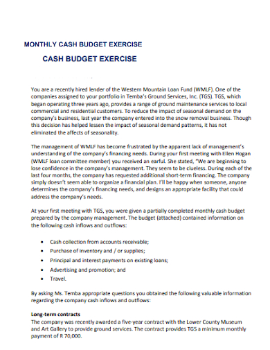 monthly cash budget exercise