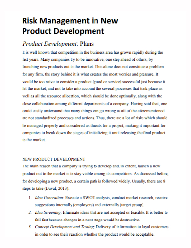 new product risk management development plan