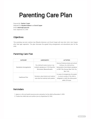 parenting care plan template