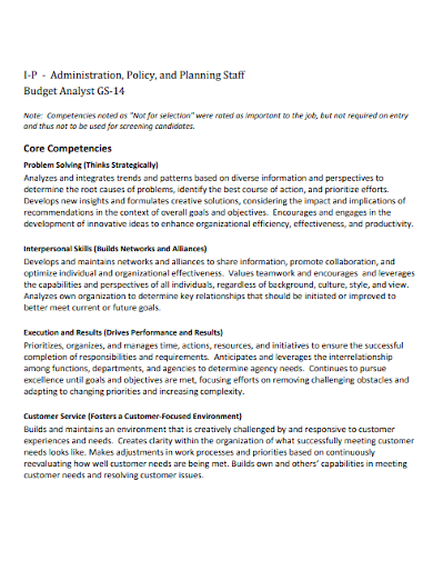 policy and planning staf budget analyst resume