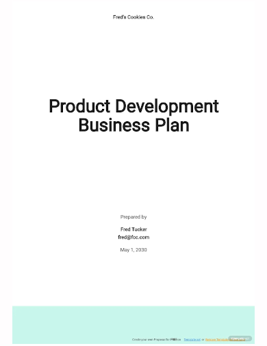 product development business plan template