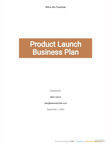 product launch business plan template