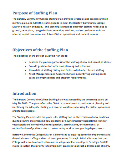 professional staffing management plan
