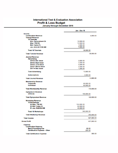 profit and loss evaluation budget