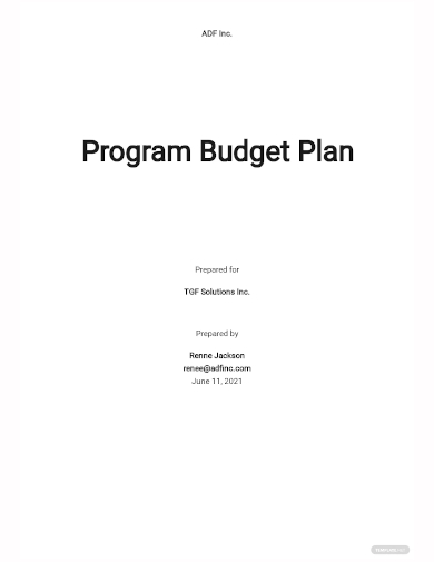 program budget plan template