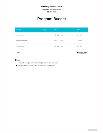 program budget template