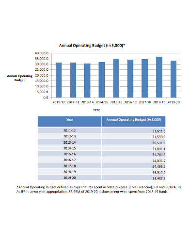 sample annual operating budget