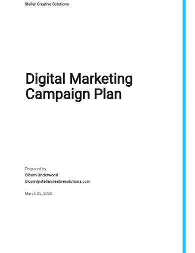 sample digital marketing campaign plan