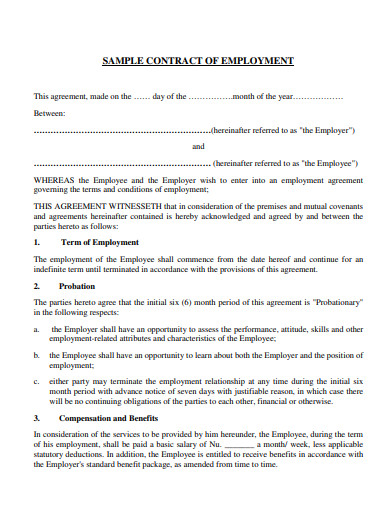sample it employment contract
