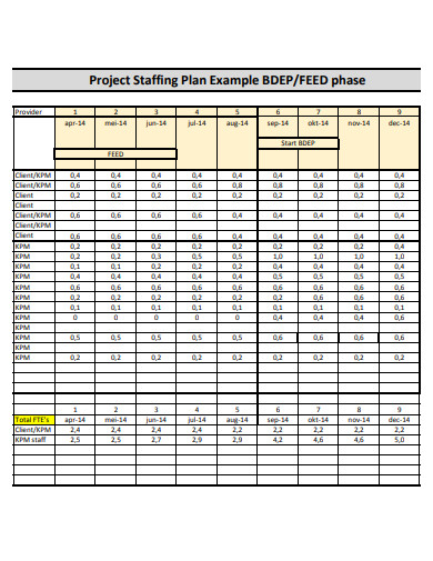 sample project staffing plan