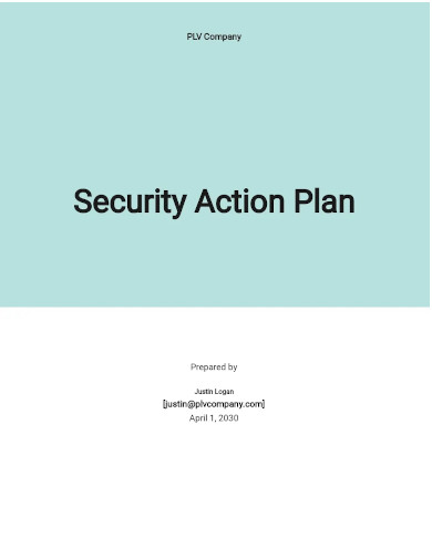 security action plan