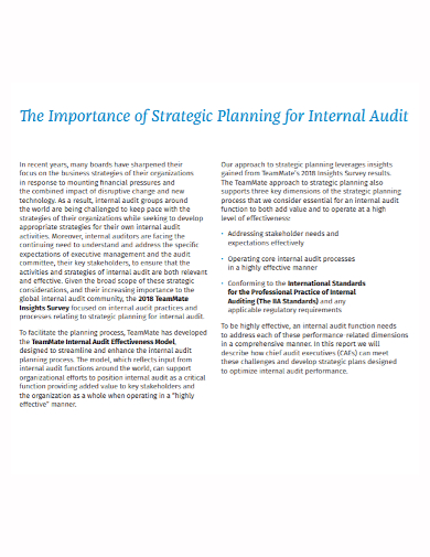 standard internal audit strategic plan