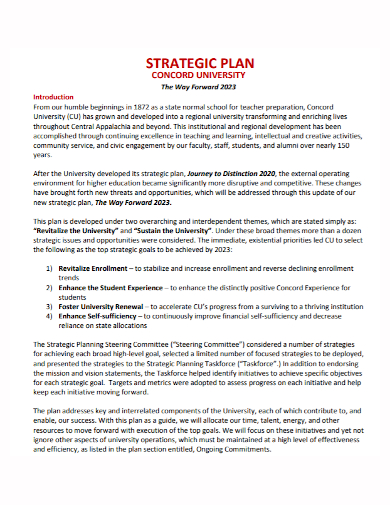 standard university strategic plan
