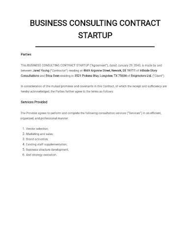 startup business consulting contract