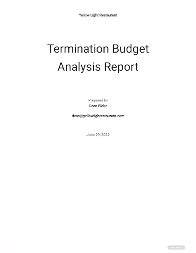 termination budget analysis report template