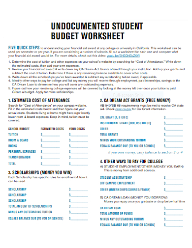 undocumented student budget worksheet