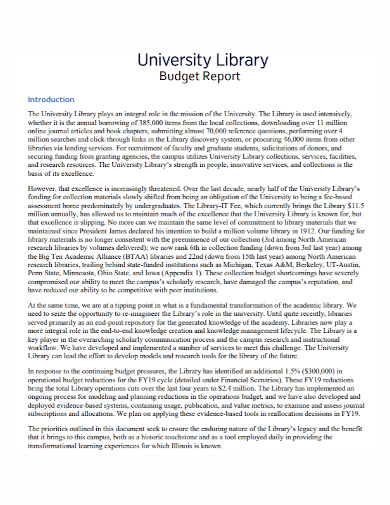 university library budget report