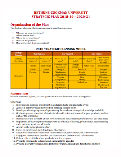 university organization strategic plan