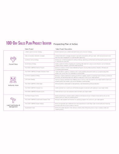 100 day project sales action plan