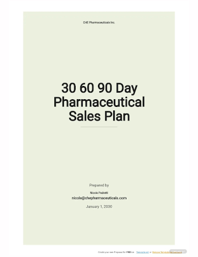 30 60 90 day pharmaceutical sales plan template