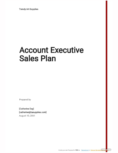 account executive sales plan template