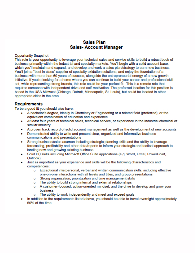 account manager sales plan