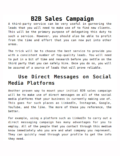 b2b sales campaign plan