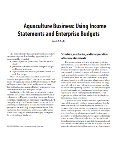 business enterprise income statement